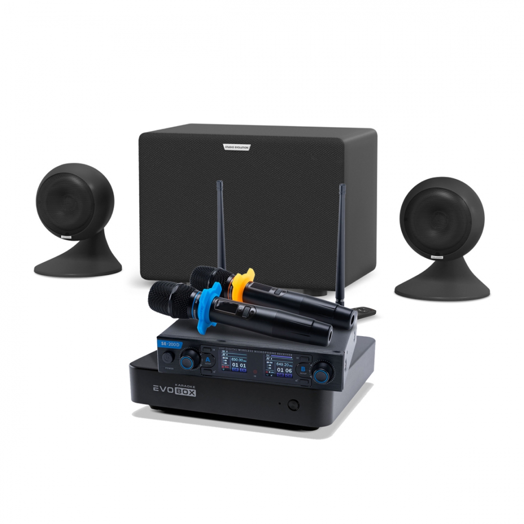 караоке-комплект EVOBOX + EvoSound Sphere 2.1 в Ессентуках