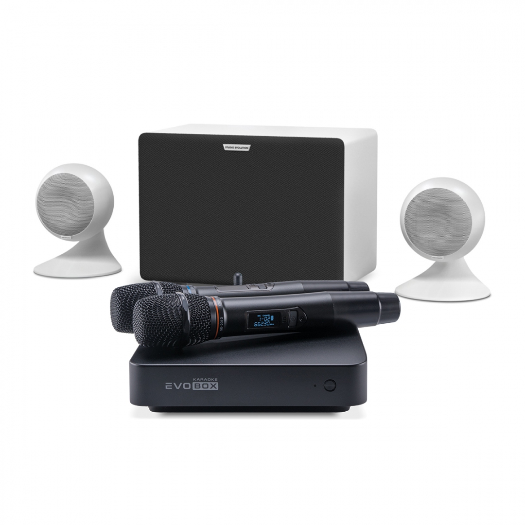 караоке-комплект EVOBOX Classic + EvoSound Sphere 2.1 в Ессентуках