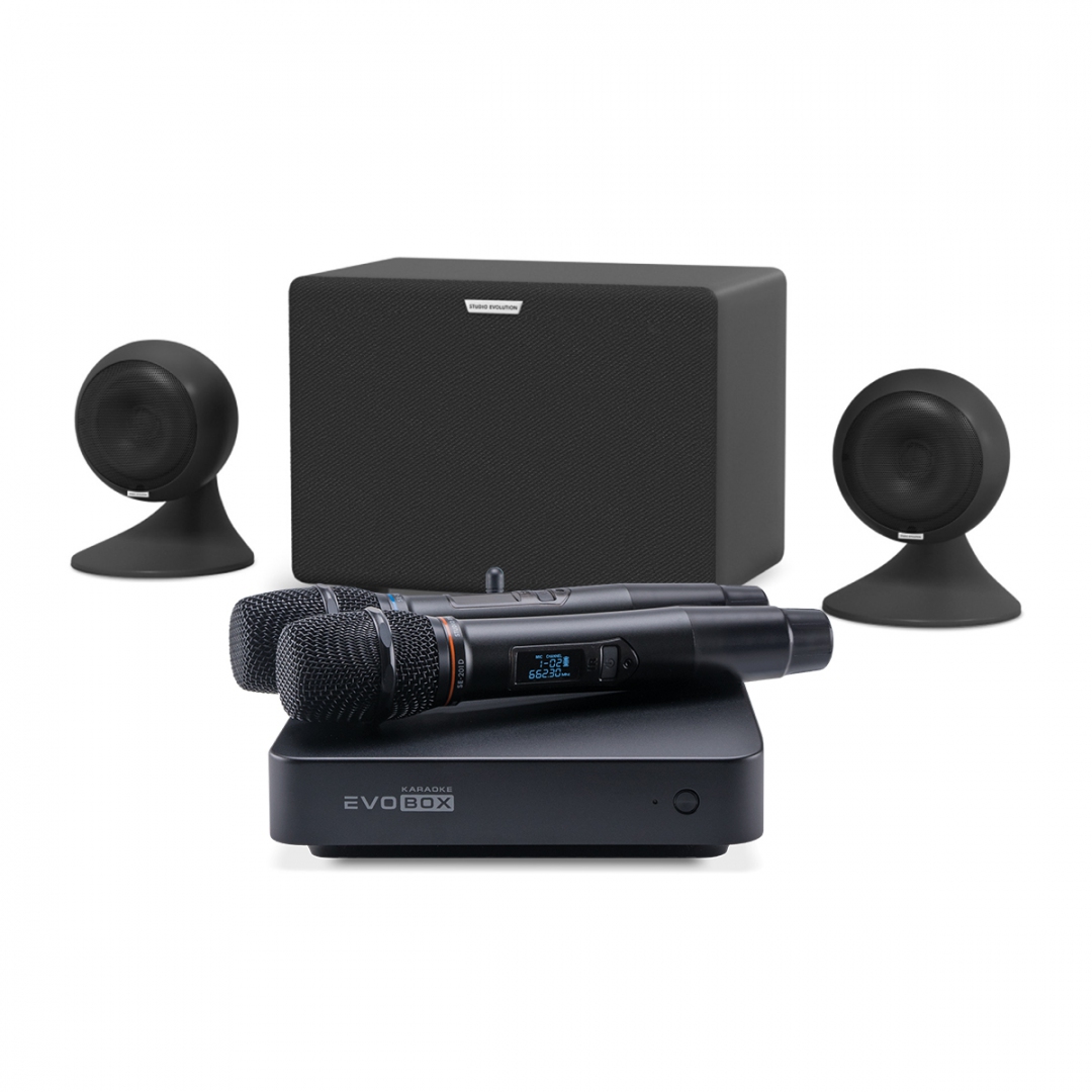 караоке-комплект EVOBOX Plus + EvoSound Sphere 2.1 в Ессентуках