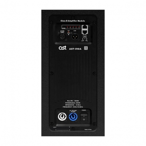 Активная акустическая система AST-310A в Ессентуках