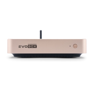 EVOBOX Classic караоке-система для дома в Ессентуках