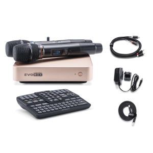 EVOBOX Classic караоке-система для дома в Ессентуках