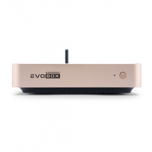 EVOBOX Plus караоке-система для дома в Ессентуках