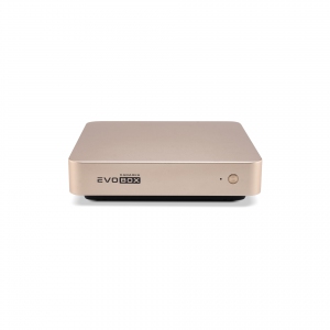 EVOBOX с микрофонами в Ессентуках